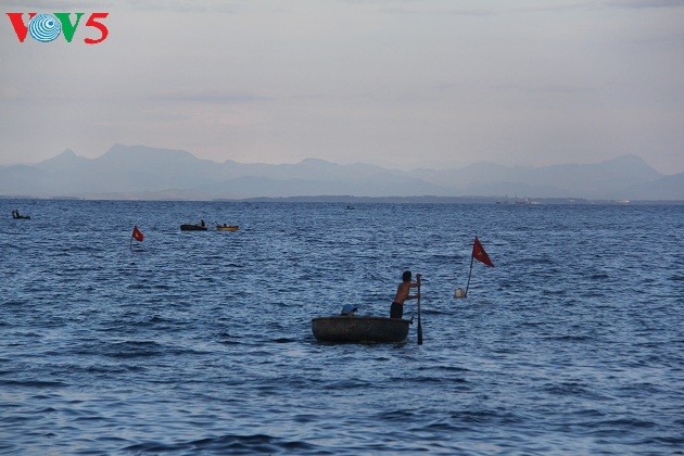 Sắc màu Lý Sơn - ảnh 2